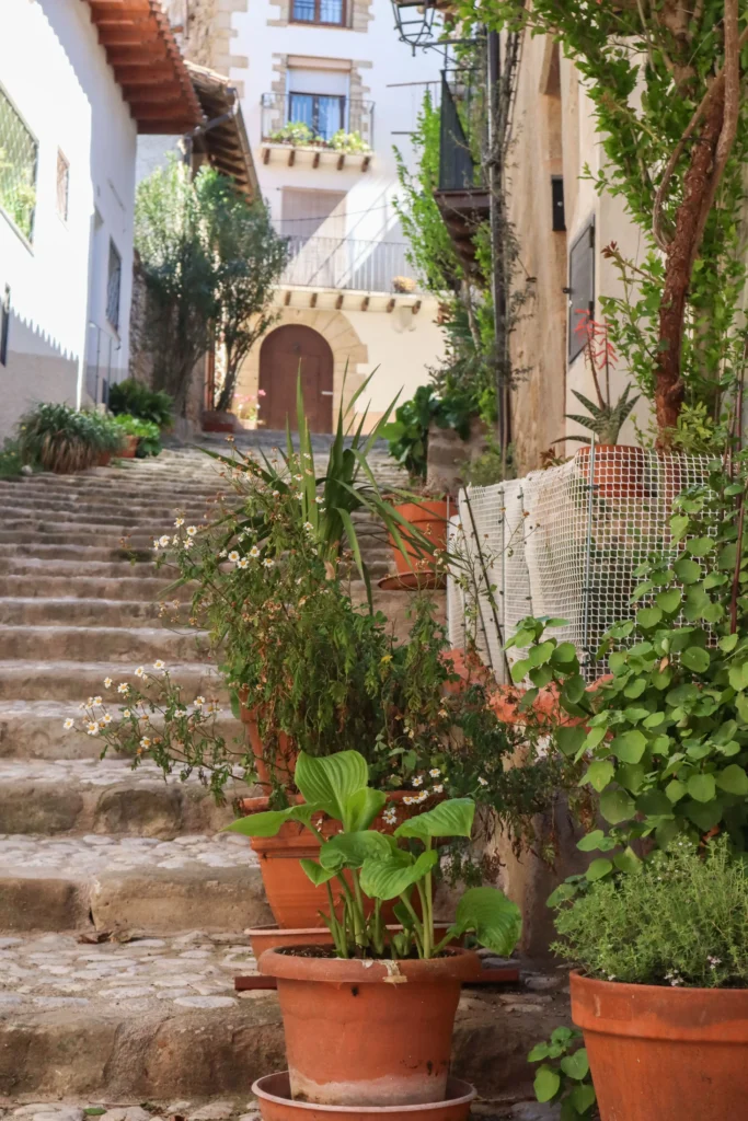 Calle con escaleras de piedra decorada con macetas y plantas en el casco histórico de Valderrobres con casas tradicionales al fondo