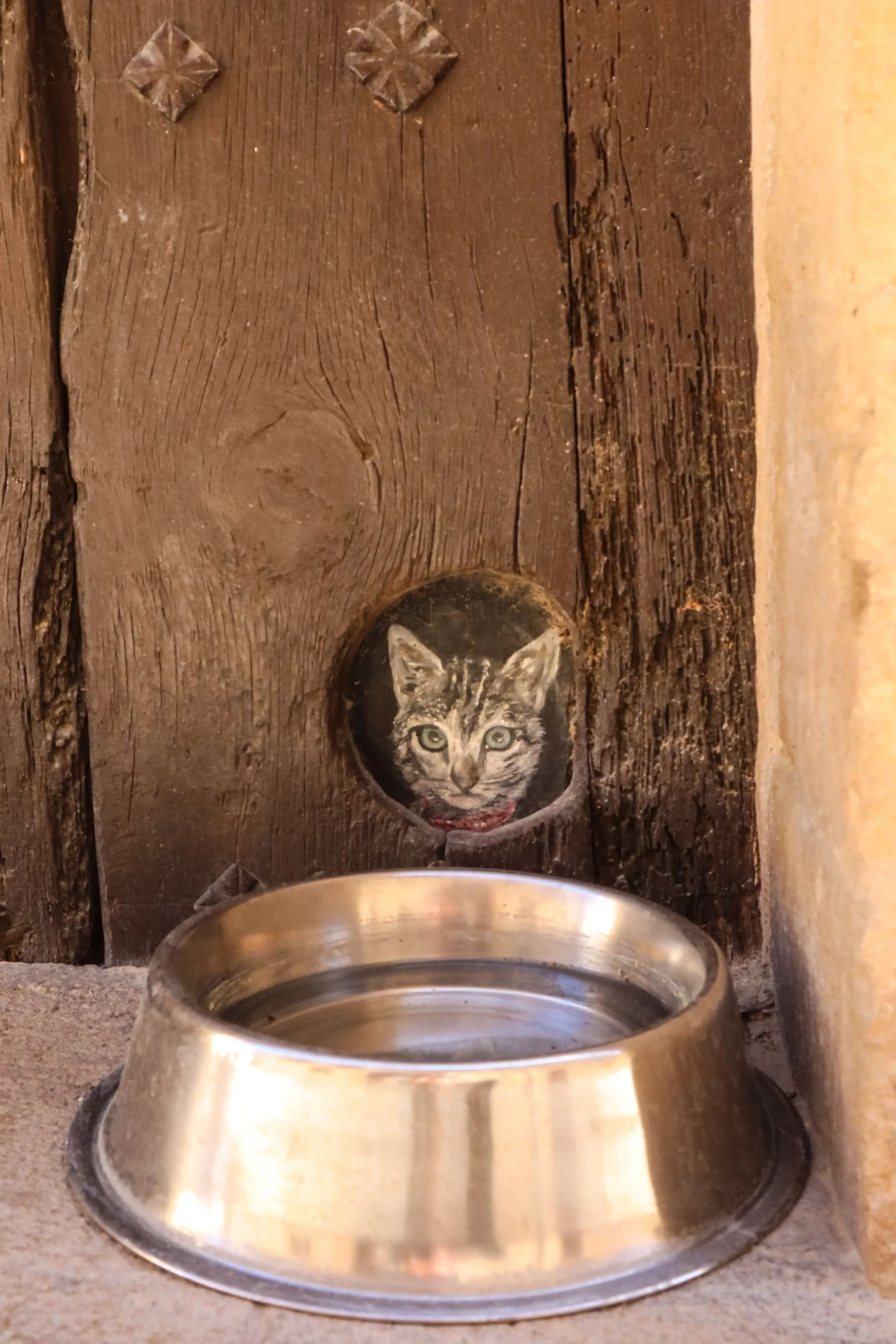 Detalle de una puerta de madera antigua con la imagen de un gato y un cuenco de agua en una calle del casco histórico de Valderrobres
