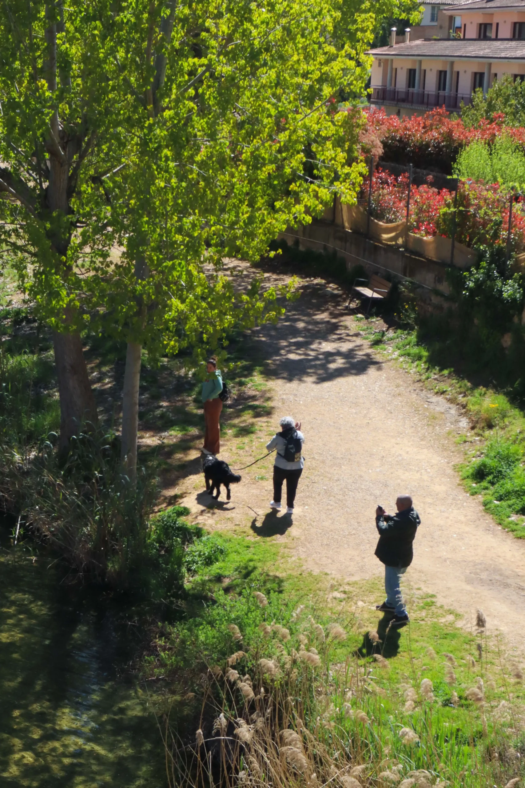 Personas paseando junto al río Matarraña en Valderrobres rodeadas de árboles y vegetación en un entorno natural tranquilo